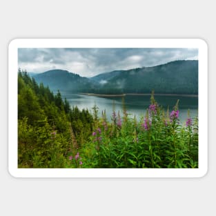 Lake Vidra in Romania Sticker